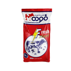 فرش استارت